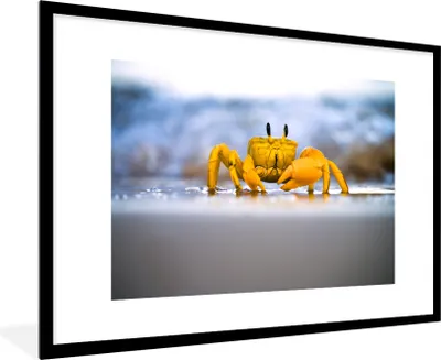 Produktbild von MuchoWow® MuchoWow® Gerahmtes Poster Krabbe - Strand - Meer 90x60 cm - Poster mit zchwarzem Bilderrahmen - Wanddekoration - Fotos