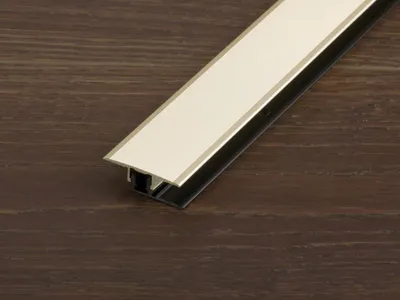 Produktbild von PROLINE Champagne 90mm Übergangsprofil, PROCOVERclip Universal für Laminat und Parkett, Höhenverstellbar mit Erhöhungsprofil, Ohne Sichtbare Verschraubung, Einfache Verlegung, Aluminium Eloxiert