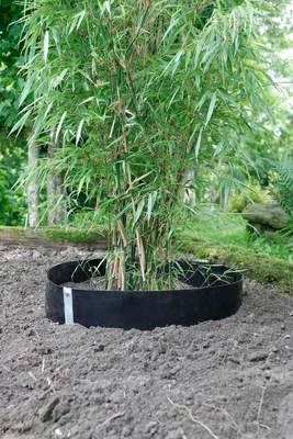 Produktbild von Wurzel- und Rhizomsperre "Stop-R BAR" - 0,60 x 10 m -
