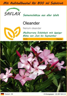 Produktbild von SAFLAX - Garden in the Bag - Oleander - 50 Samen - Mit Anzuchtsubstrat im praktischen, selbst aufstellenden Beutel - Nerium oleander