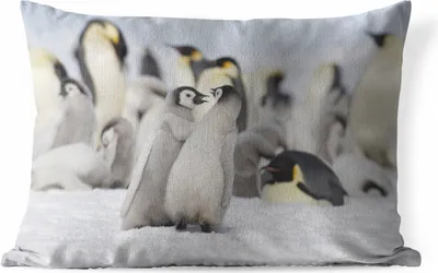 Produktbild von MuchoWow® Outdoor Kissen - Pinguine - Schnee - Tiere - 50x30 cm - Wetterfest - Lounge Kissen - Sofa kissen - Wohnzimmer Dekoration
