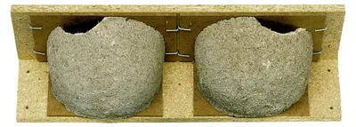 Produktbild von Nistkasten für Mehlschwalben aus Holzbeton, wartungsarm, zum Öffnen und Reinigen, für Dachvorsprung