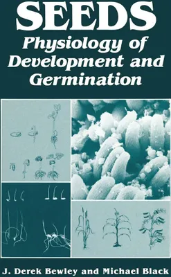 Produktbild von Seeds