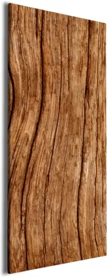 Produktbild von Wallario Premium Leinwandbild Holzstamm in Größe 50 x 125 cm