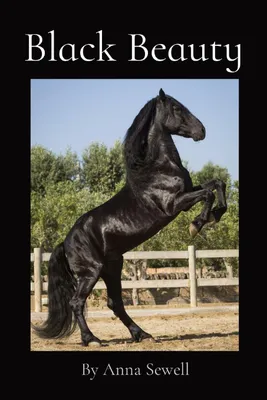 Produktbild von Black Beauty