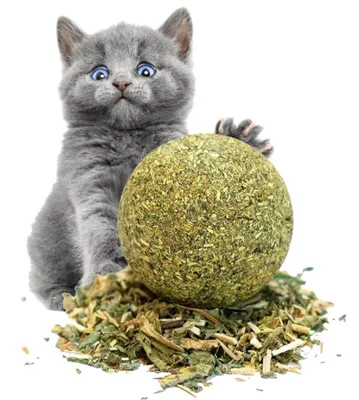 Produktbild von Katzenminze Ball Katzenball Katzenspielzeug 3 cm Spielball für Katzen mit Katzenminze