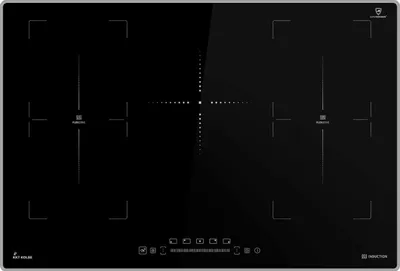 A top-down view of a black induction cooktop.
