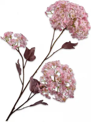 Produktbild von Silk-ka Kunstblume-Seidenblume Schneeballzweig Rosa 69 cm