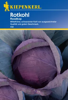 Produktbild von Rotkohl Roodkop | Rotkohlsamen von Kiepenkerl