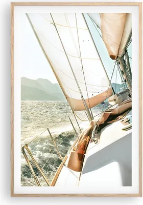 Produktbild von Gerahmtes Poster - Rahmen in heller Eiche - Yacht Segeln So - 61x91,5 cm - Wand Bild - Wanddeko - Wandbilder - Kunstposter - Wandposter - Bilderrahmen - Bilder - Kunstdruck - P2NPA61x91-4847