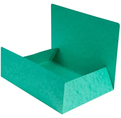 Image de EXACOMPTA 56415E Classeur à levier DIN A4 Carton vert