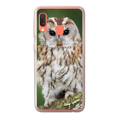 Produktbild von MuchoWow® Handyhülle Schutzhülle Hülle für Samsung Galaxy A20e Braune Eule sitzt auf einem Baum Silikon Softcase Handy Hülle - Abdeckung