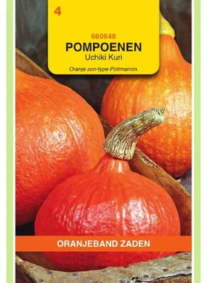 Produktbild von Oranjeband Kürbis Uchiki Kuri - 1 Packung Saatgut