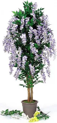 Produktbild von artplants.de Künstlicher Blauregen MALENKA, Natürliche Stämme, mit Blüten, lila, 225cm - Italy - Deko Blauregen