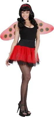 Produktbild von Marienkäfer Flügel Set 2teilig - Karneval Fasching