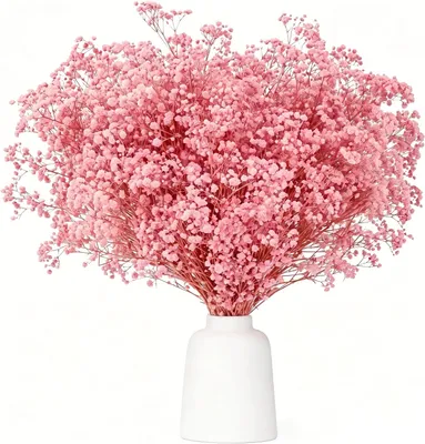 Zdjęcie produktu dla Suszone kwiaty gypsophila (róża), wysokość 43 cm, 3500 kwiatów, do dekoracji
