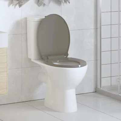 Immagine prodotto di Vidaxl Toilettensitz Soft-Close- und Schnellveröffentlichungs ovales Grau