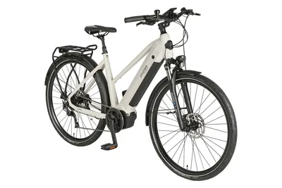Produktbild von PROPHETE ENTDECKER 3.9 Damen Trekking E-Bike 28" Limited| AEG Mittelmotor 36 V 70 Nm, 400 Wh Akku, Shimano 9-Gang, Hydraulische Scheibenbremse