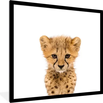 Produktbild von MuchoWow® Gerahmtes Poster Tiere - Kinder - Leopard - Junge - Mädchen 40x40 cm - Poster mit Schwarzem Bilderrahmen Wandposter Rahmen Foto Bilder - Mit Rahmen - Wanddekoration Schlafzimmer