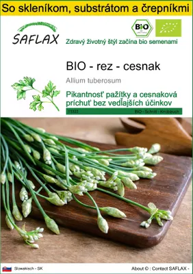 Obrázok produktu pre SAFLAX Kultivačný set - BIO - rez - cesnak - Allium tuberosum - 100 Semená - S mini skleníkom, pestovateľským substrátom a 2 črepníkmi
