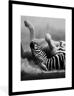 Produktbild von MuchoWow® Gerahmtes Poster Zebra - Tiere - Schwarz - Weiß 60x80 cm - Poster mit Schwarzem Bilderrahmen Wandposter Rahmen Foto Bilder - Wohnzimmer - Dekorationen - Prämie