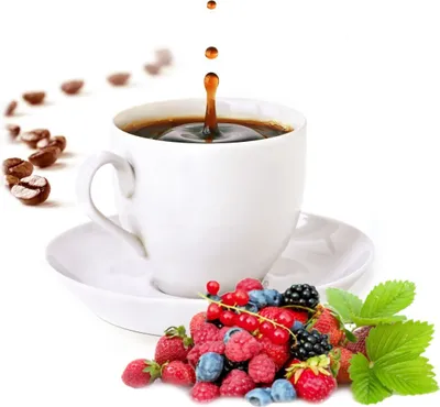 Produktbild von Waldfrucht Espresso Pulver 200g