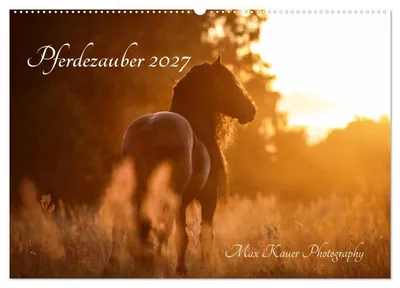 Produktbild von Pferdezauber 2027 (Wandkalender 2027 DIN A2 quer), CALVENDO Monatskalender