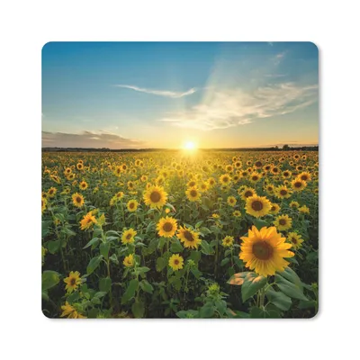 Produktbild von MuchoWow® Mauspad Mousepad Sonnenuntergang - Blumen - Sonnenblume - Horizont - Landschaft 30x30 cm - Mousepads - Maus Mat - Pad - Mausunterlage - Gaming