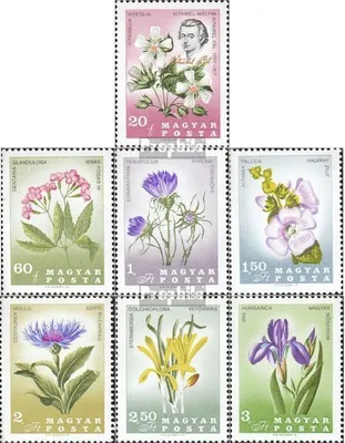 Produktbild von Briefmarken Ungarn 1967 Mi 2307A-2313A (kompl.Ausg.) postfrisch 150. Todstag Kitaibels