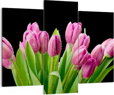 Produktbild von Bild auf Leinwand - Leinwandbild - Tulpen Blumenstrauß Tau Tropfen - 130x100cm - Wand Bild - Wanddeko - Leinwanddruck - Bilder - Kunstdruck - Leinwand bilder - Wandkunst - CB130x100-2486