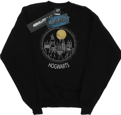Produktbild von Harry Potter - "Hogwarts" Sweatshirt für Herren BI28057 (M) (Schwarz)