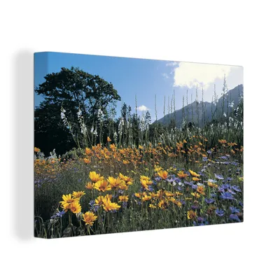 Zdjęcie produktu dla OneMillionCanvasses® - Obrazy na płótnie - 150x100 cm, Kwiaty - Natura - Kolor, Druk na ścianie Dekoracja ścienna
