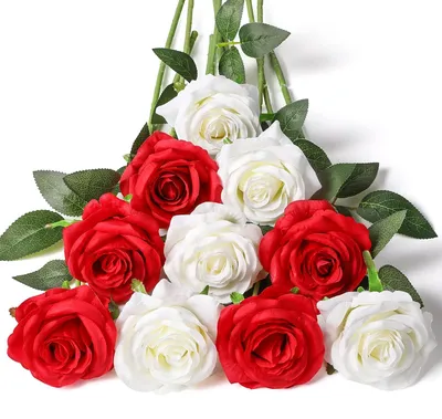 Image de Omgoods - Ensemble de 12 roses artificielles soyeuses pour la décoration