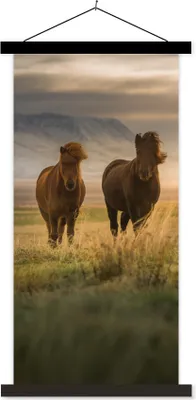 Produktbild von MuchoWow® Textilposter Pferde - Luft - Gras 90x180 cm mit schwarzem Rahmen - Dekoration Wohnzimmer