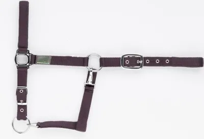 Produktbild von USG Halfter, fuchsia, Warmblut