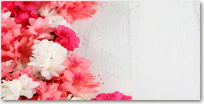 Produktbild von Tulup Glas-Bild -140x70- Wandkunst Dekorative Wand für Küche & Wohnzimmer - Blumen & Pflanzen - Blumen - Rosa