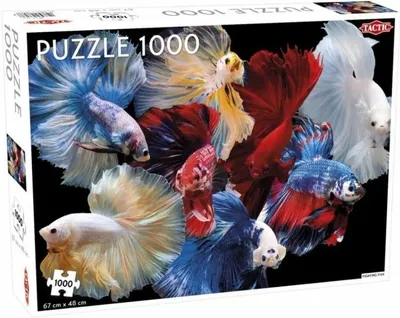 Obrázek produktu pro Tactic 56627, 1000 kusů, Zvířata, 9 rok/roky