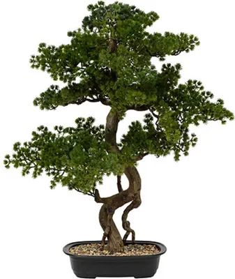 Produktbild von Atmosphera Bonsaibaum - Keramiktopf - 86 cm - Kunstpflanze