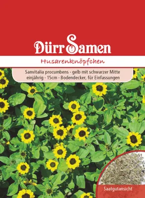 Produktbild von Husarenknöpfchen | Husarenknöpfchensamen von Dürr Samen