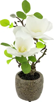 Künstliche Magnolie im Topf, 33 cm, weiße Blüten, grüne Blätter