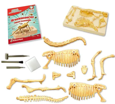 Obrázek produktu pro Science4you – Sada na vykopávky dinosaura Brachiosaura – archeologická sada pro děti s 11 díly, vykopávejte si svou vlastní hračku v podobě dinosaura – ideální pro experimentování