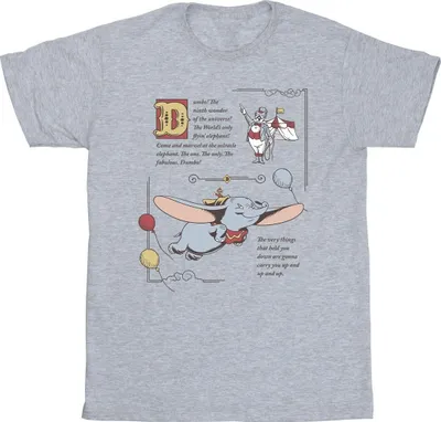 Produktbild von Disney - T-Shirt für Herren BI22646 (M) (Grau)