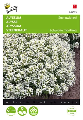 Produktbild von Steinkraut Schneeteppich | Steinkrautsamen von Buzzy Seeds