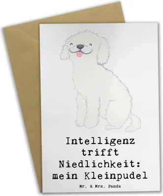 Produktbild von Mr. & Mrs. Panda Grußkarte Niedlicher Kleinpudel - Weiß - Geschenk, weihnachtskarten, Grußkarten, liebevoller Hund, Hunderasse, Hunderassen, Sozialverhalten, osterkarte