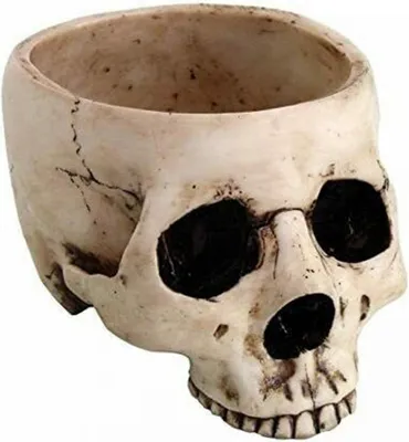 Produktbild von Verwitterte Totenkopf Schale 470ml als Tischdekoration