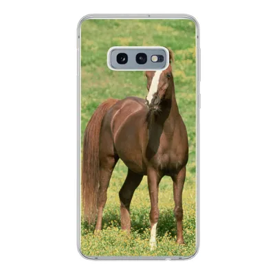 Produktbild von MuchoWow® Handyhülle Schutzhülle Hülle für Samsung Galaxy S10e Pferde - Gras - Braun Silikon Softcase Handy Hülle - Handy