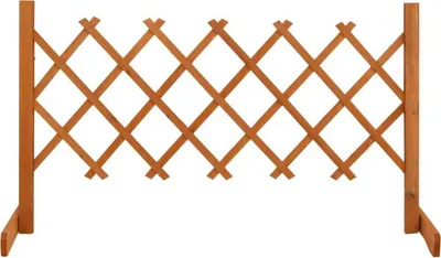 Produktbild von Garten-Rankzaun Orange 120x60 cm Massivholz Tanne