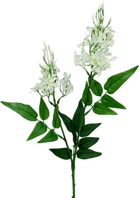 Produktbild von Dekorativer Phloxzweig mit Seidenblüten für stilvolle Arrangements, 3 Stück