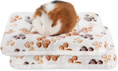Produktbild von Solidchoice – Set mit 2 waschbaren Unterlagen für Meerschweinchen und Kleintiere