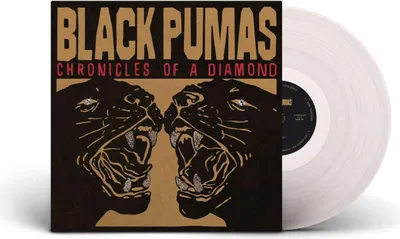 Image de Black Pumas - Chronicles Of A Diamond (Clear Coloured) (LP)